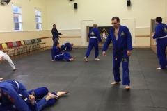 BJJ-12-of-44