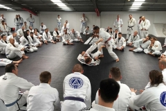 BJJ-8-of-44