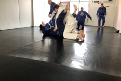 BJJ-12-of-26