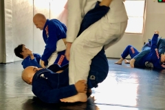 BJJ-14-of-26