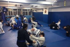 BJJ-4-of-26