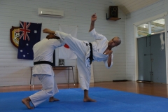 Sensei-Brendan-dojo-photos-2014-Rod-12-of-25