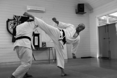 Sensei-Brendan-dojo-photos-2014-Rod-13-of-25