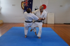 Sensei-Brendan-dojo-photos-2014-Rod-3-of-25