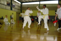 Heishin-old-Karate-photos-24-of-72