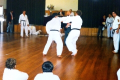 Heishin-old-Karate-photos-63-of-72