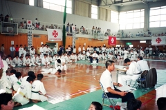 Japan-Martial-arts-48-of-74