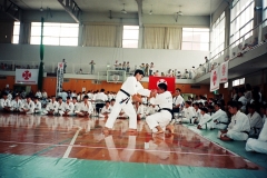 Japan-Martial-arts-51-of-74