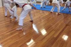 Shinjitsuryu-Karate-13-of-33