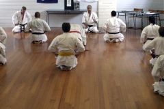 Shinjitsuryu-Karate-2-of-33