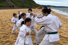 Shinjitsuryu-Karate-20-of-33