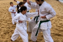 Shinjitsuryu-Karate-21-of-33