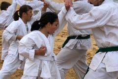 Shinjitsuryu-Karate-22-of-33