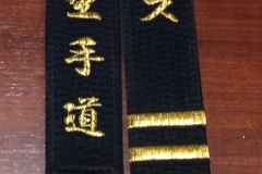 Shinjitsuryu-Karate-7-of-33