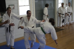 Shinjitsuryu-Grading-2009-42-of-70