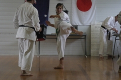 Shinjitsuryu-Grading-2009-7-of-70