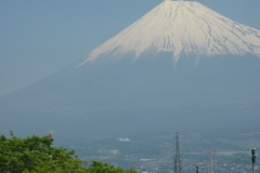 fuji